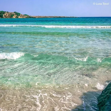 ゲストハウス La Casetta Di Tiziana